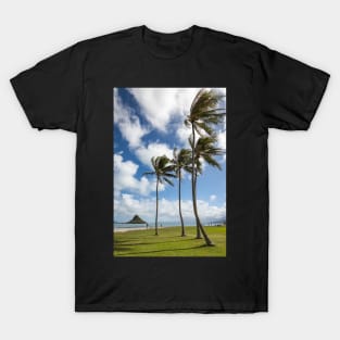 Palm Trees in the Wind T-Shirt